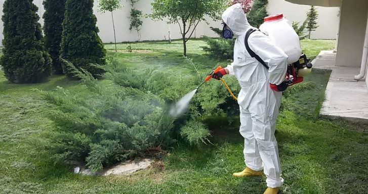 Avcılar Böcek ilaçlama